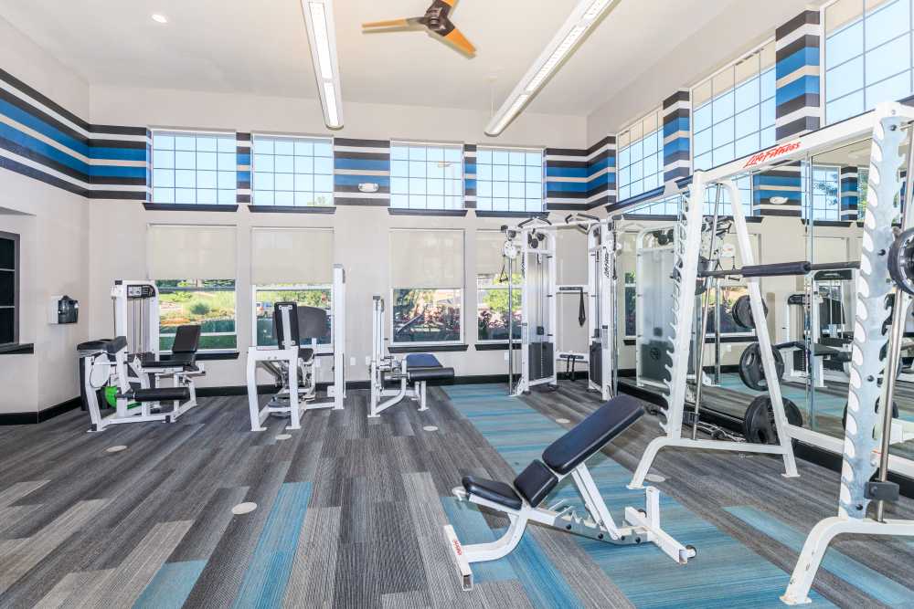 Gym equipment at Panorama at Arvada Ridge in Arvada, Colorado