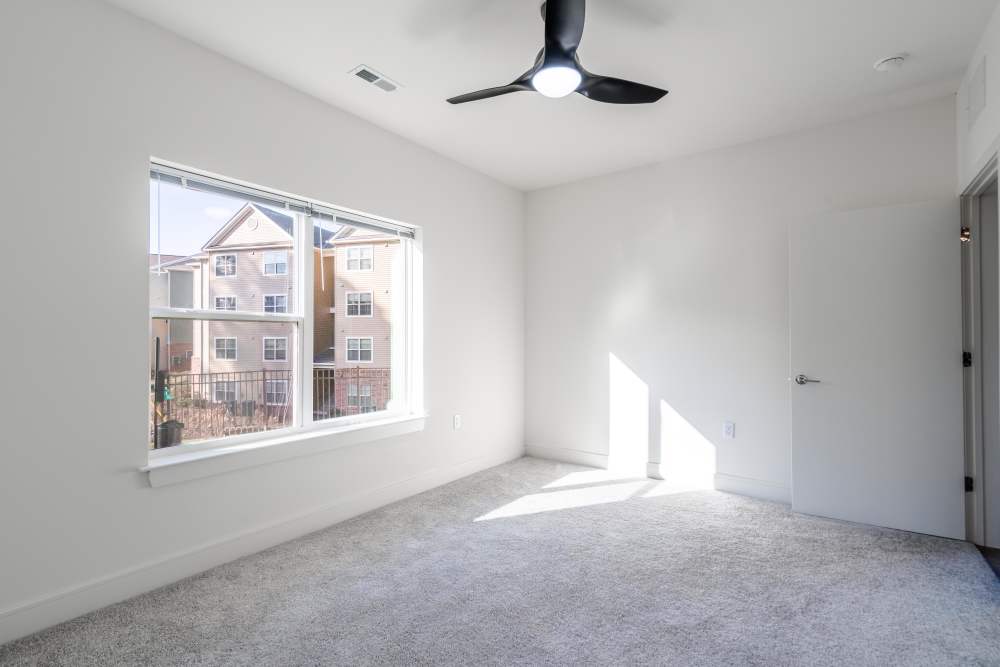 Bedroom with carpet flooring and a window at 5 Row in Charlottesville,Virginia