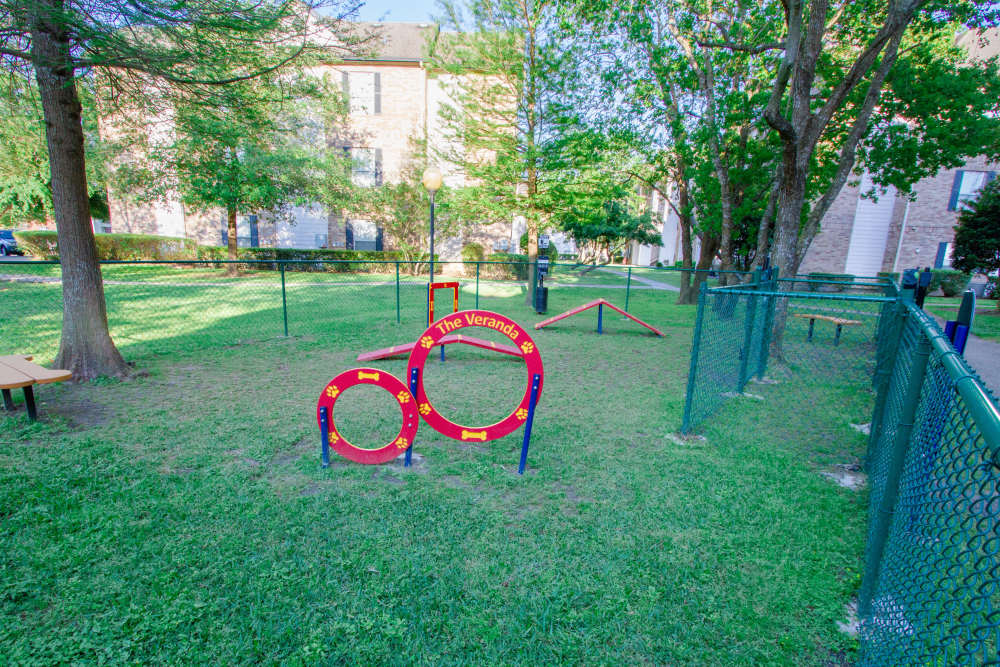 Pet-friendly spaces at The Veranda in Texas City.