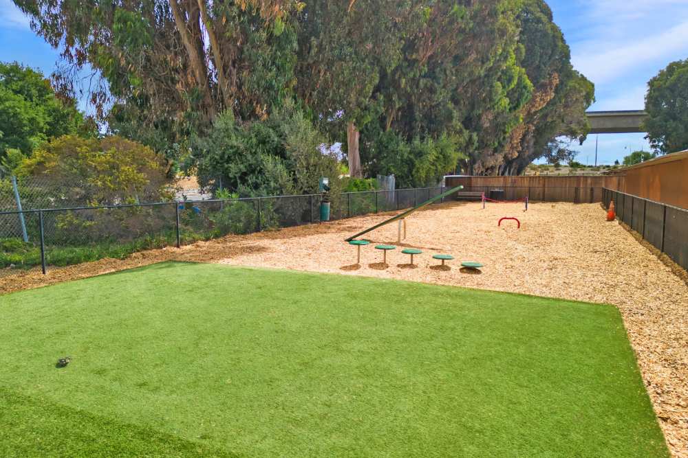 Dog park at Lakeside Village in San Leandro, California