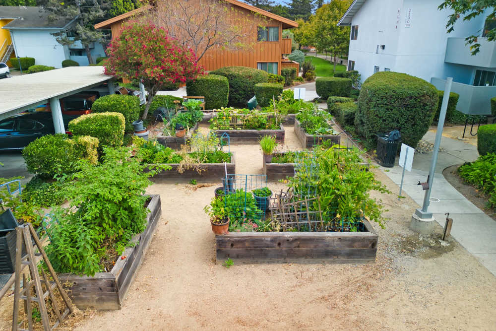 Exterior gardening area at Lakeside Village in San Leandro, California