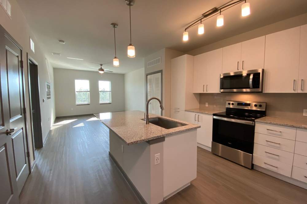 Kitchen with built-in microwave and an oven at Murano at Three Oaks in Fort Myers,Florida
