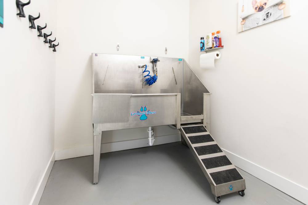 Dog spa at South City Apartments in Summerville, South Carolina