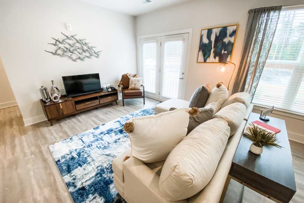 Living room with television at South City Apartments in Summerville, South Carolina