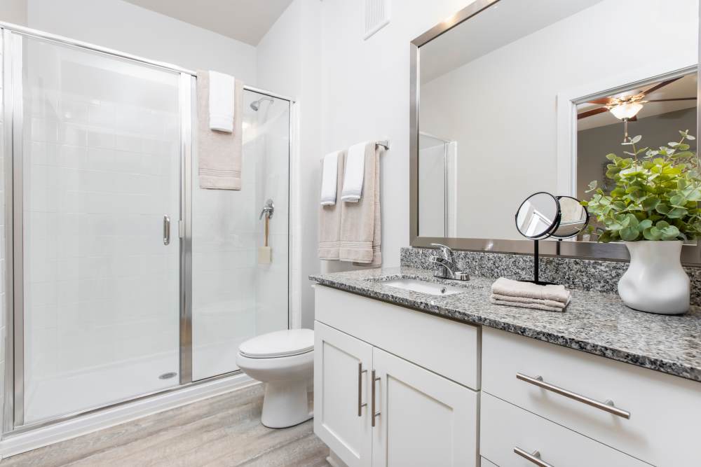 Bathroom with walk-in shower at South City Apartments in Summerville, South Carolina