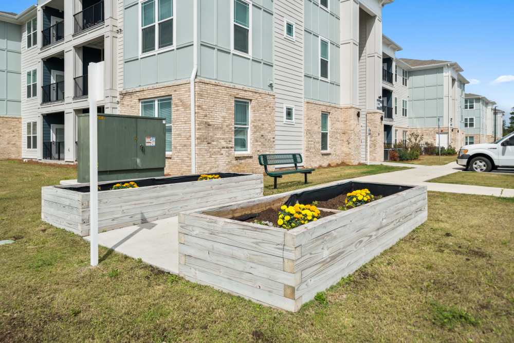 Plantation inside the lawn at The Park at Massalina in Panama City,Florida