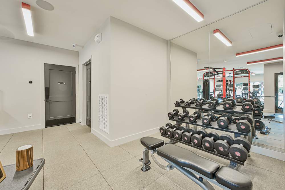 Free weight station at Barnett in Houston, Texas