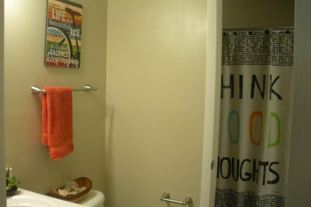 Bathroom at Riverwood Apartments in Mount Pleasant, South Carolina