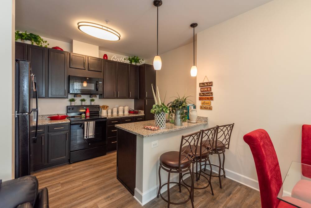 Kitchen with ovel ceiling light at RiverWatch Apartments in Elkridge, Maryland