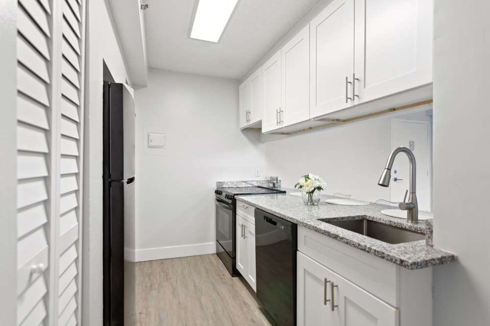 Model kitchen in Forest Place