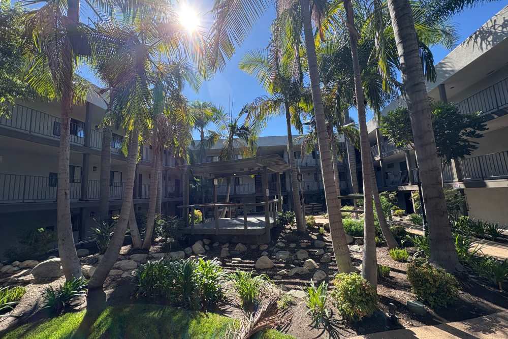View lawn in community with large trees, rocks and walkways at The Indie Glendale Collection in Glendale, California