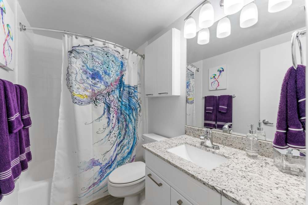 Bathroom with bath tub at Marina Del Mar in Sunny Isles Beach, Florida