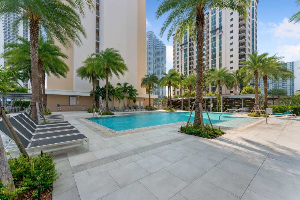Refreshing swimming pool with palm trees at Marina Del Mar in Sunny Isles Beach, Florida