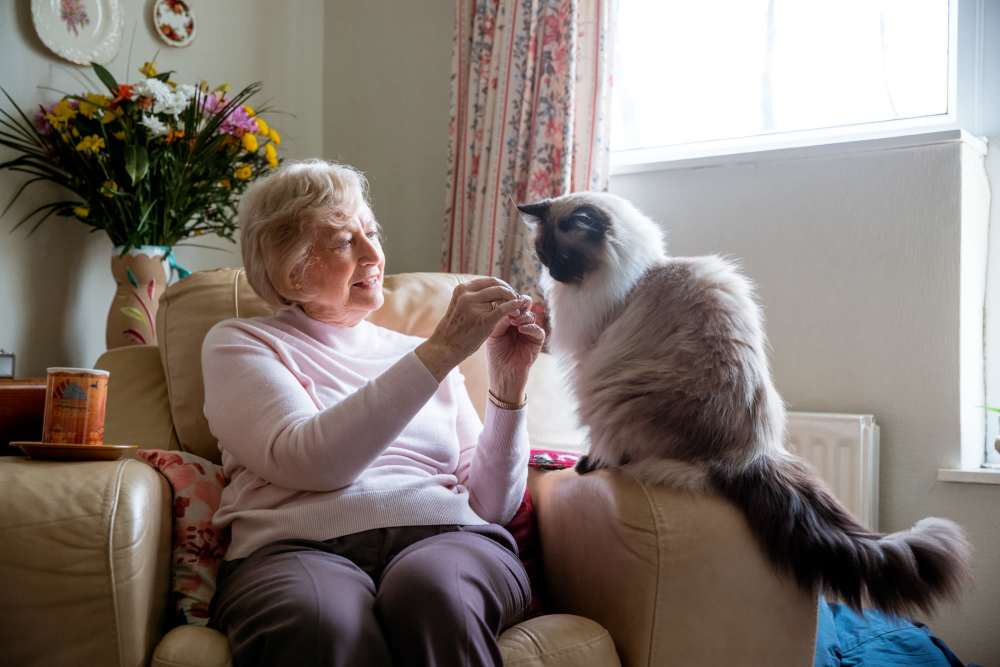 Resident with her cat at Park Terrace Apartment Homes in Muskegon, Michigan