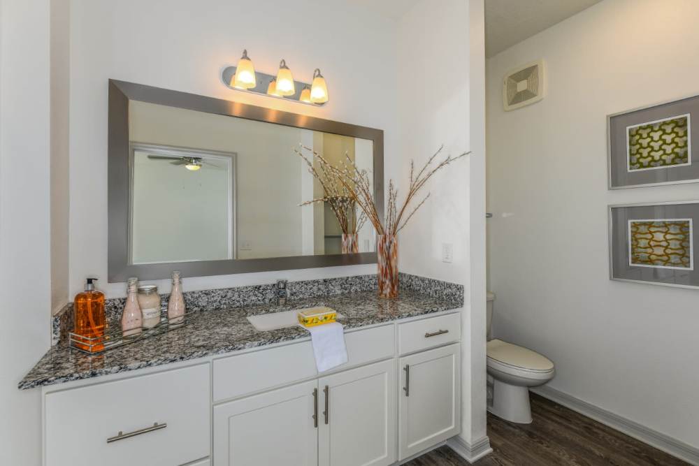 Bathroom at Champions Vue Apartments in Davenport, Florida