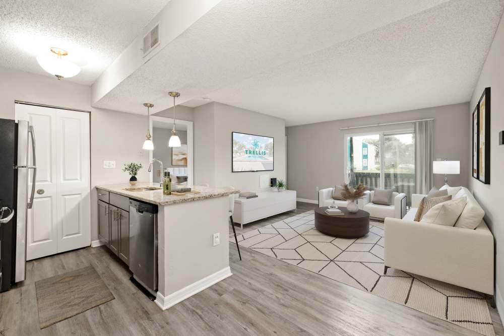 Living room at Trellis at the Lakes in St. Petersburg, Florida