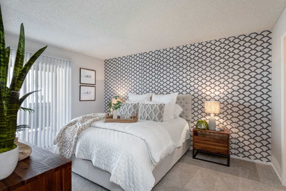 Cozy bedroom with patterned accent wall and natural light at Colony Parc in Ventura, California