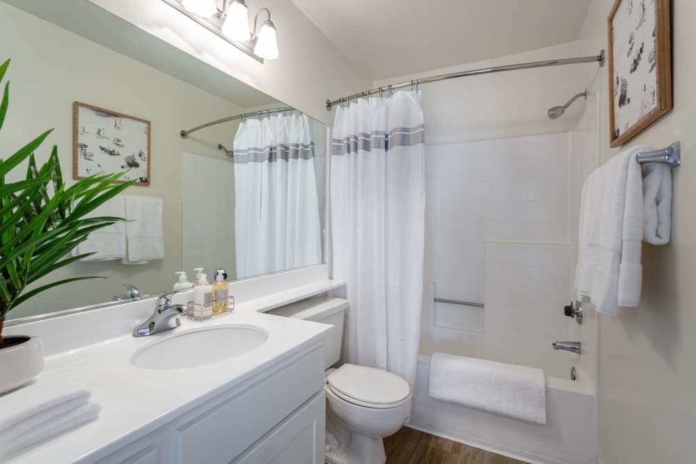 Modern bathroom with stylish fixtures and greenery accents at Colony Parc in Ventura, California