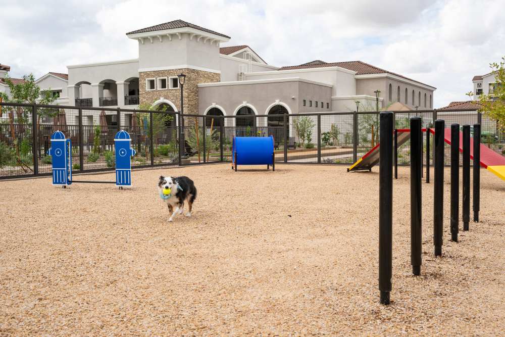 Dog Park at Tuscany at Gabriella Pointe in Gilbert, Arizona