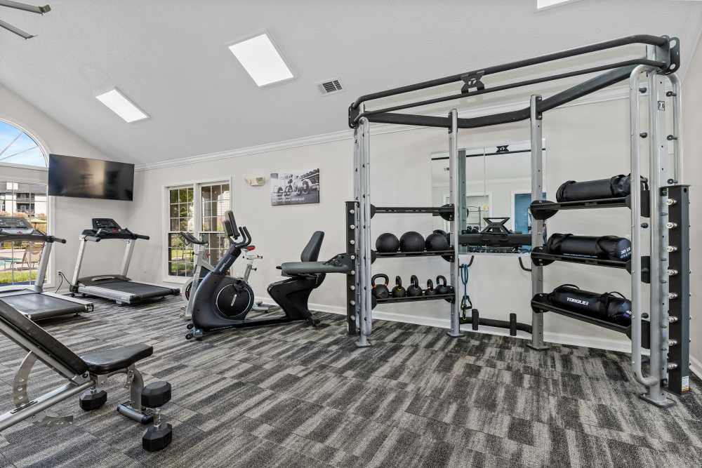 Fitness center featuring squat rack and weights at Ascent Apartment Homes in Asheville, North Carolina
