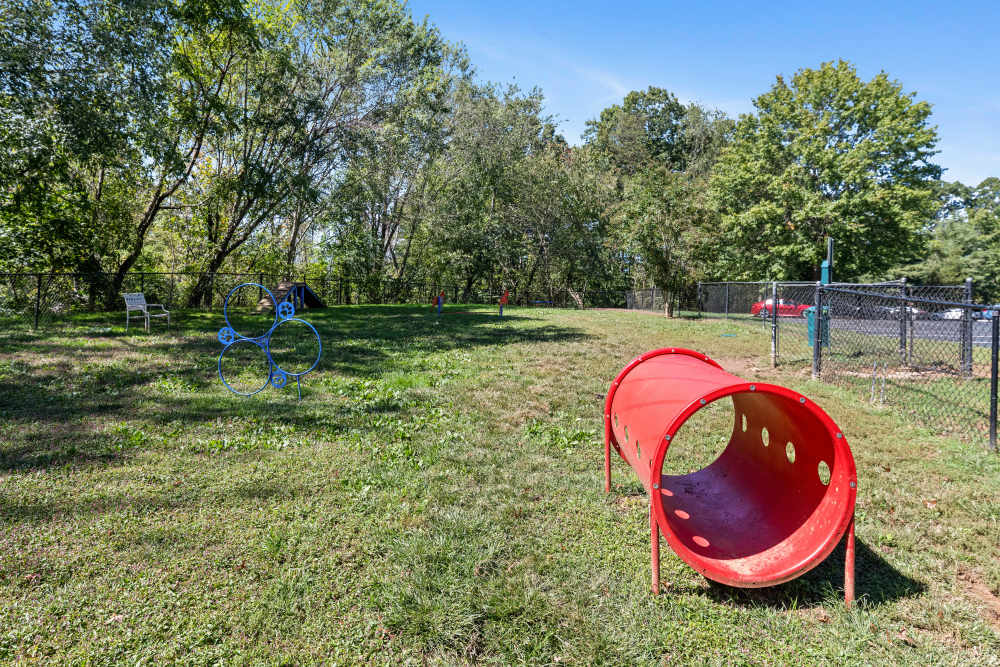 Outdoor pet play area at Ascent Apartment Homes in Asheville, North Carolina