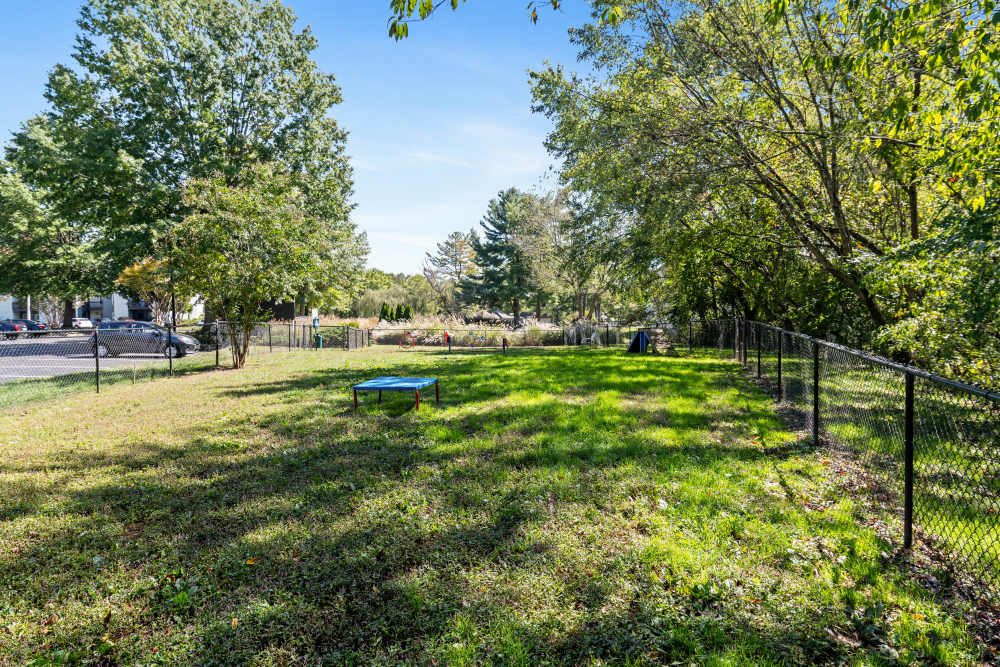 Outdoor green space with fence at Ascent Apartment Homes in Asheville, North Carolina