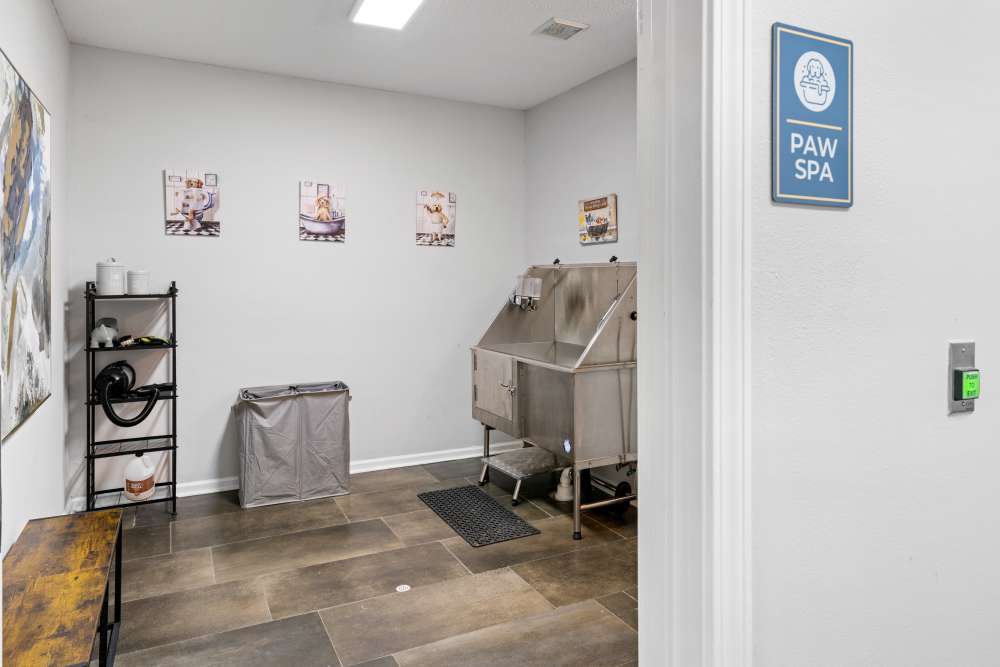 at Vetra Asheville in Arden, North Carolina