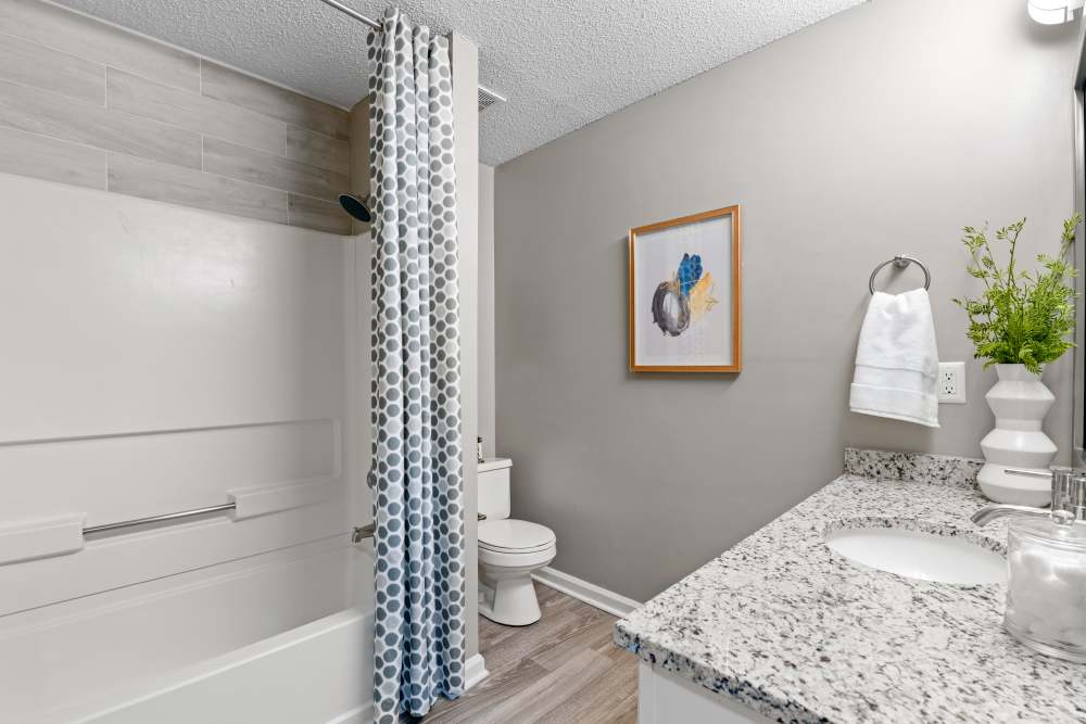  at Vetra Asheville in Arden, North Carolina