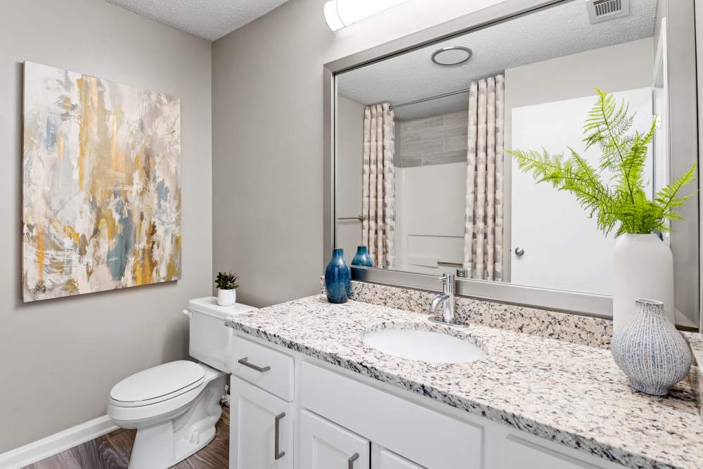  at Vetra Asheville in Arden, North Carolina