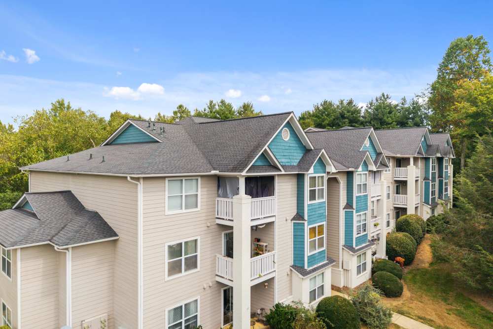  at Vetra Asheville in Arden, North Carolina