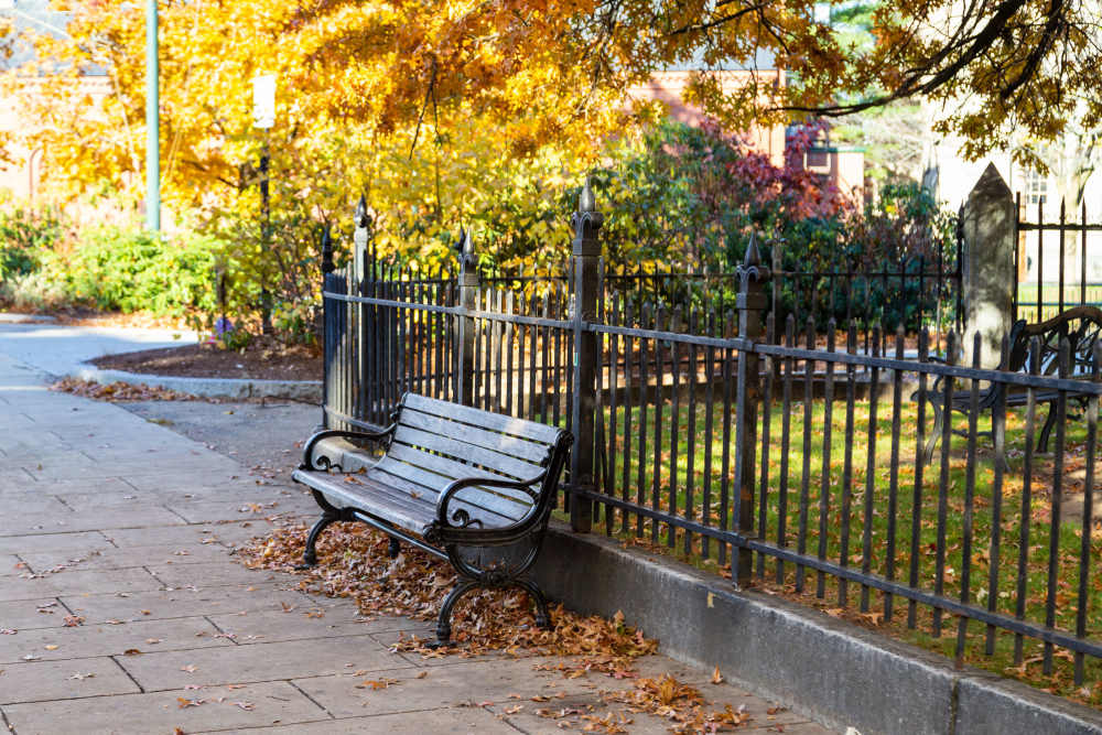 Bench with greenery at Market Mill Apartments in Lowell, Massachusetts