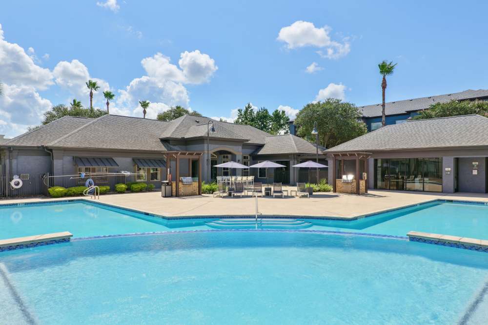 Palomar in Webster, Texas