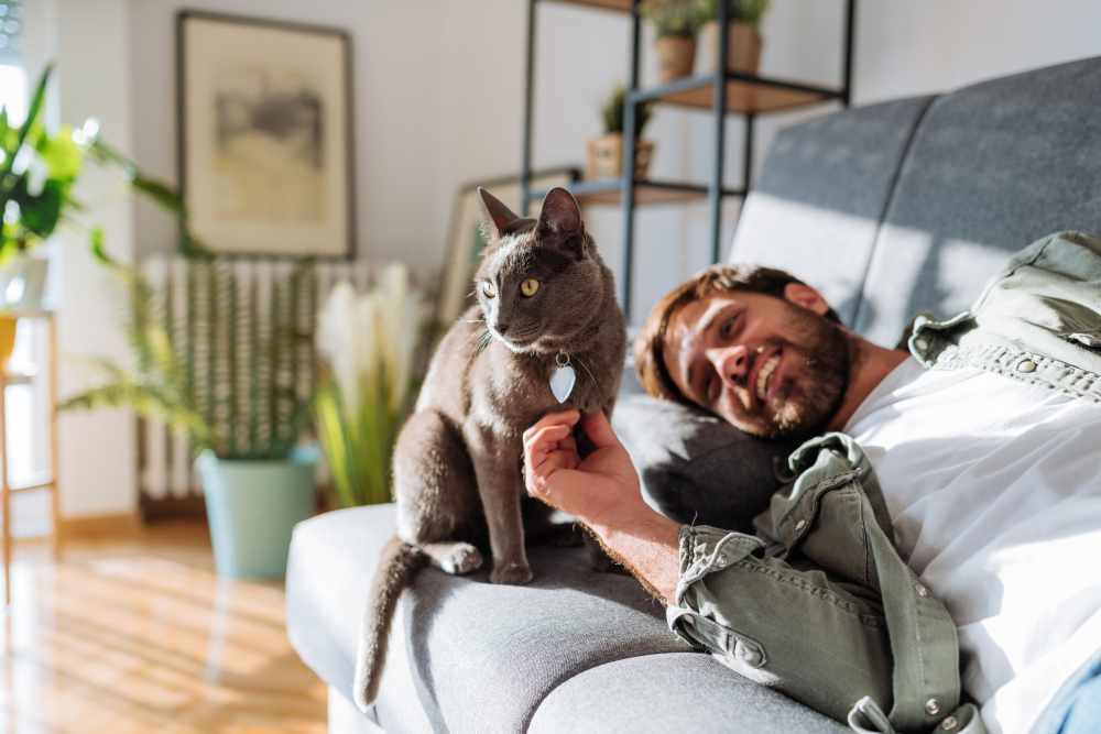 Resident playing with his cat at Main Street Vista in Holly Springs, North Carolina 