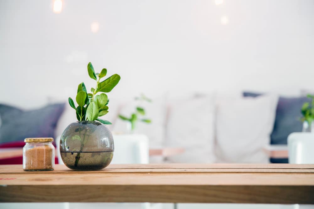 Well-organized table at Main Street Vista in Holly Springs, North Carolina 