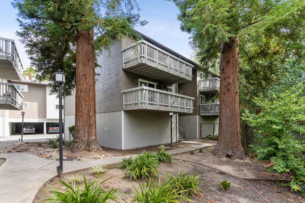 Outdoor view of the home at Regency Plaza Apartment Homes in Martinez, California