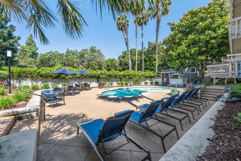 Pool side at Regency Plaza Apartment Homes in Martinez, California