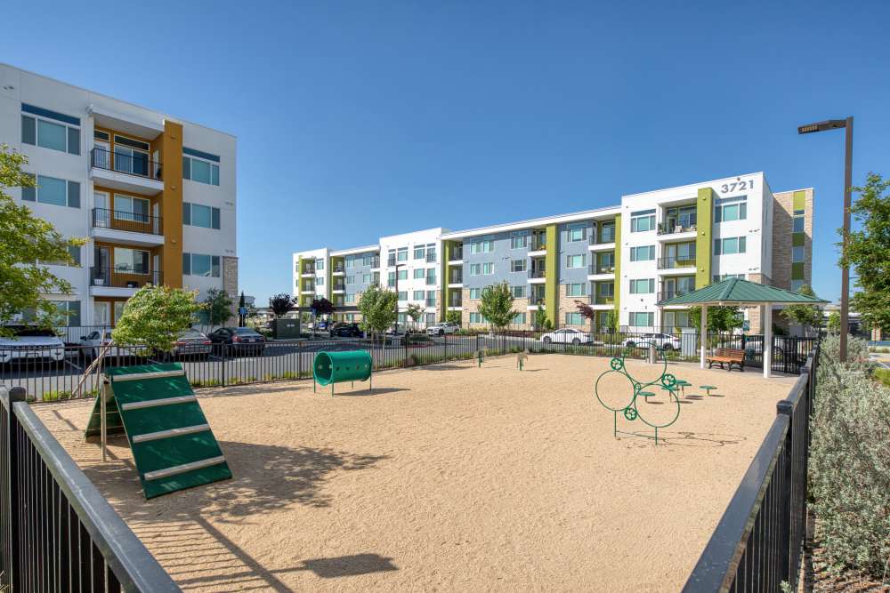 Bark Park at Zeta Luxury Apartments in Sacramento, California