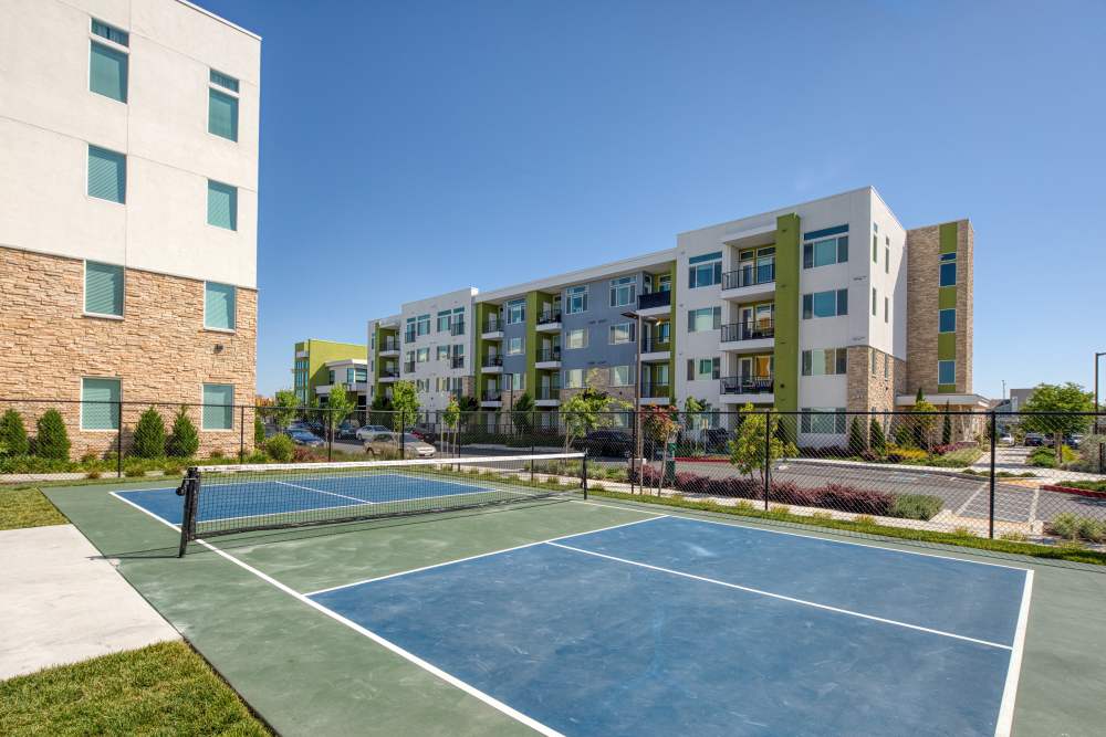 Pickleball Court at Zeta Luxury Apartments in Sacramento, California