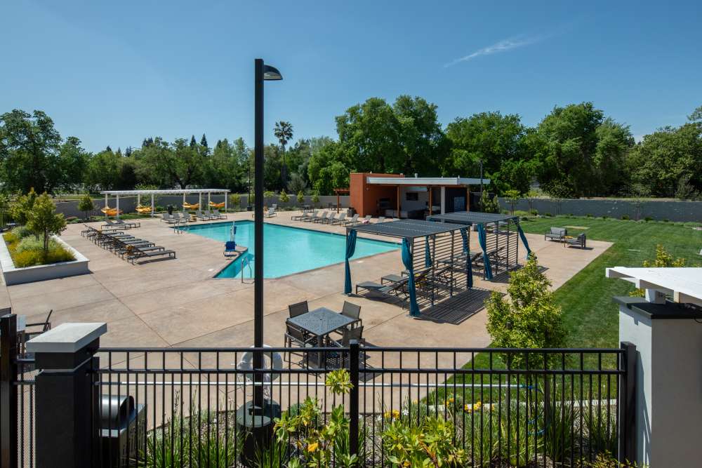 Swimming pool with lounge beds and canopy at Solasta in Sacramento, California