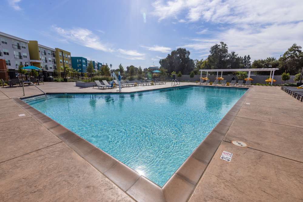 Sparkling swimming pool with lounge beds at Solasta in Sacramento, California