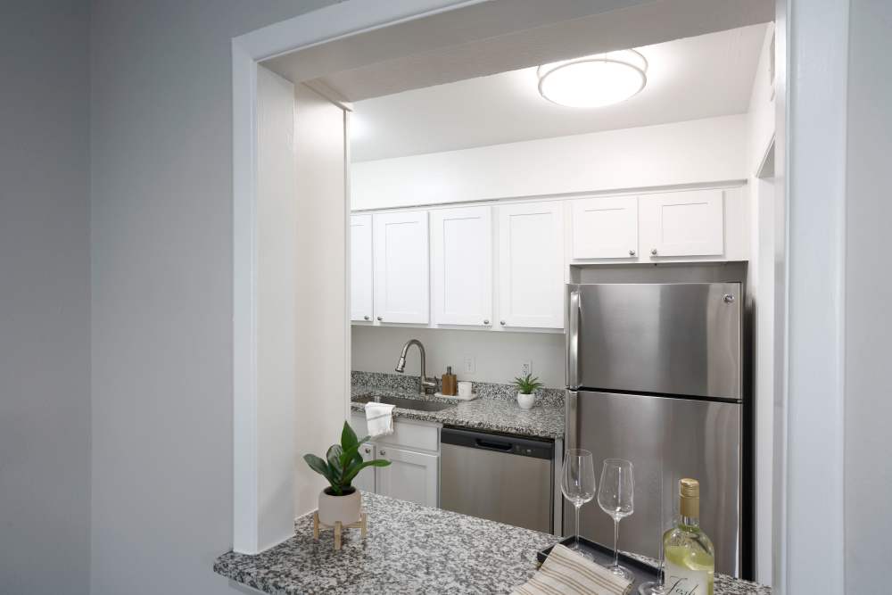 New modern kitchen with stainless-steel appliances at The Fountains of Preston Hollow in Dallas, Texas