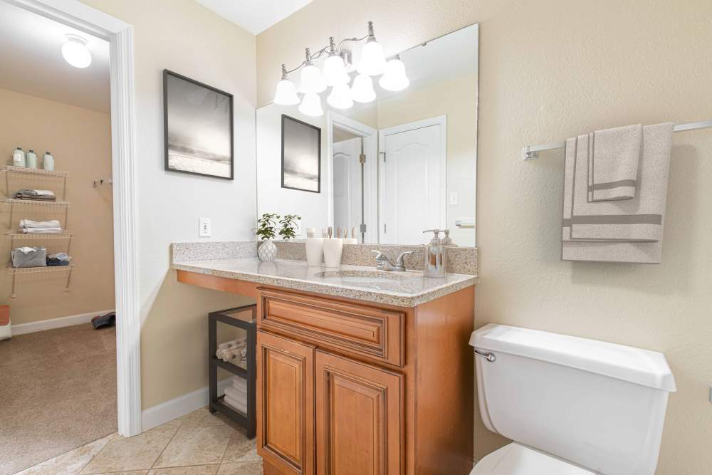 Bathroom at Peachtree Apartments in Chesterfield, Missouri