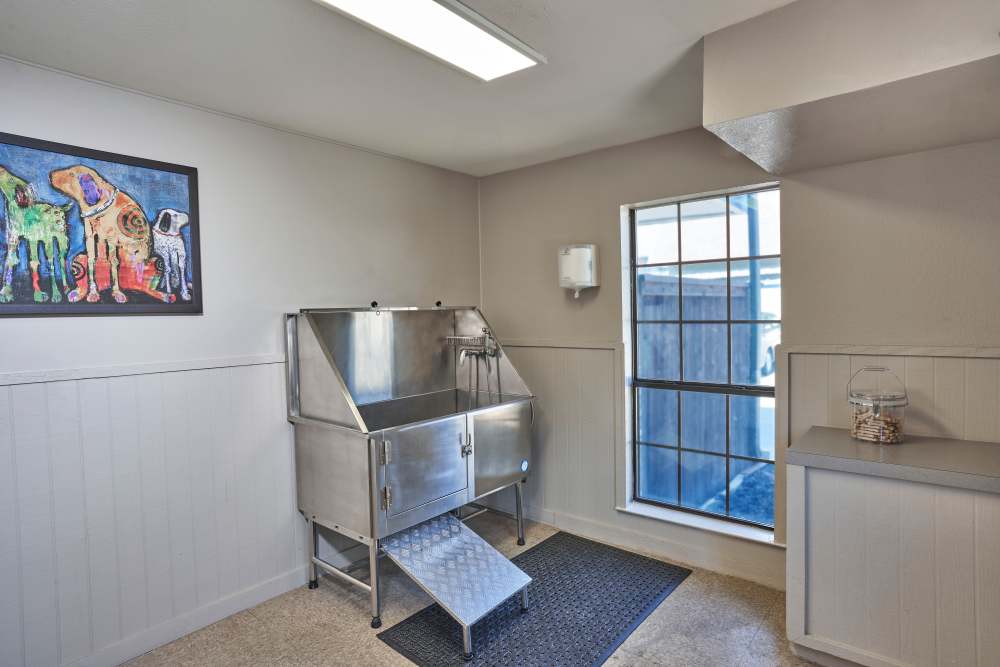 Dog spa at The Fountains of Preston Hollow in Dallas, Texas