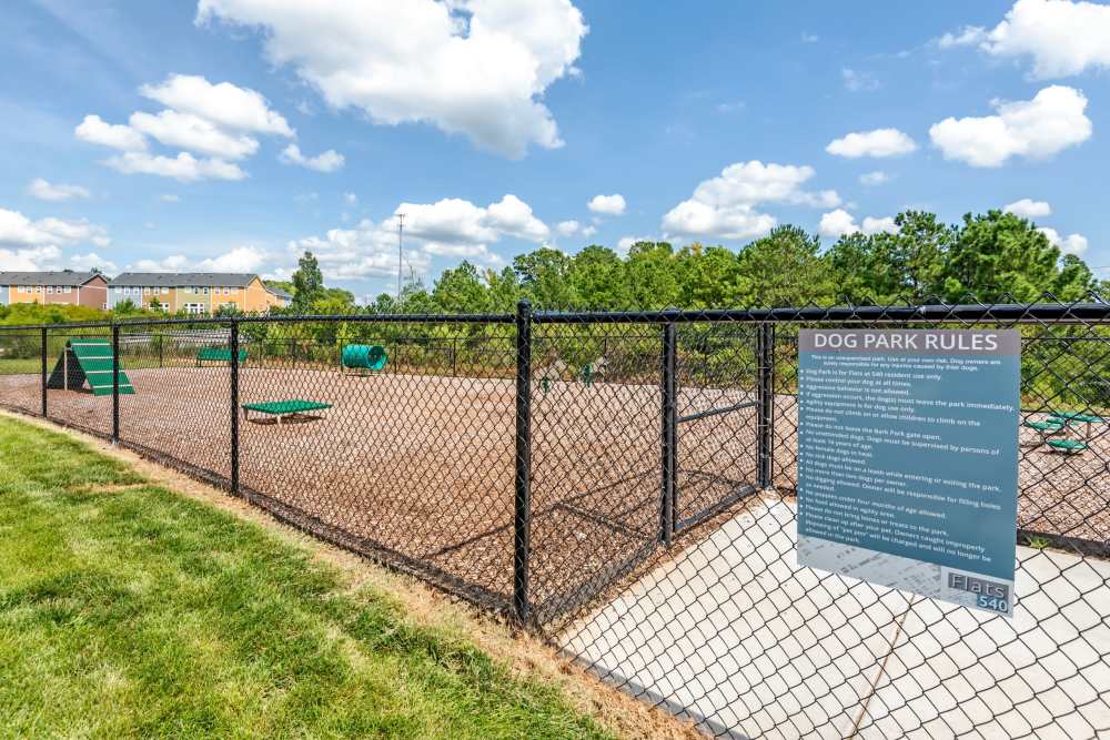 dog park with fence and mulch