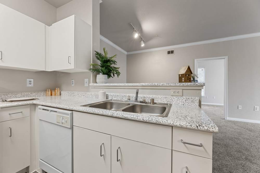 Double sink with raised countertop at Columbia Greens in Houston, Texas