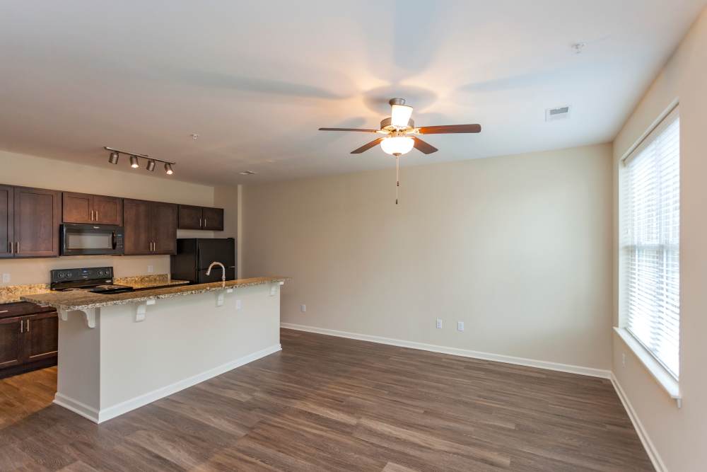 Living room and dining room