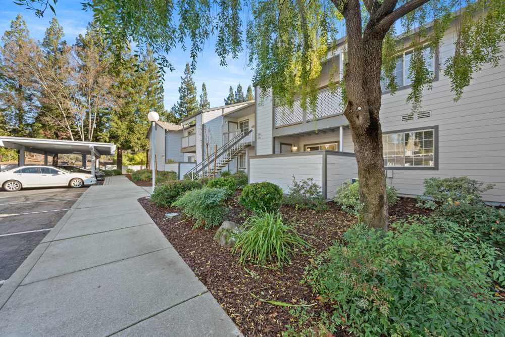 Community car parking area at Country Brook Rental Condominiums in San Ramon, California