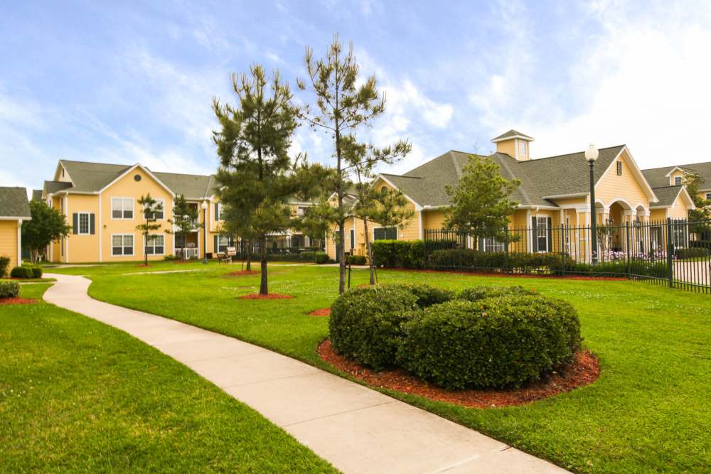 Lush green landscape with inviting walkways and charming buildings at Country Lane in Angleton, Texas