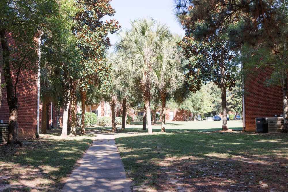 Path with greenery all around at Annandale Park in Robertsdale, Alabama