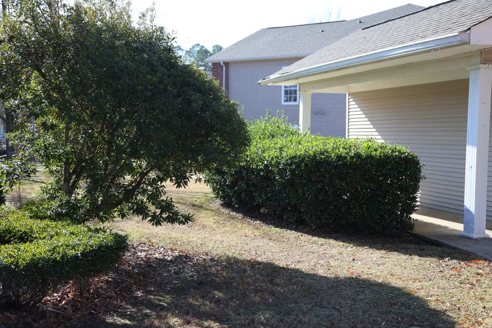 Lush greenery at Azalea Park III in Meridian, Mississippi    
